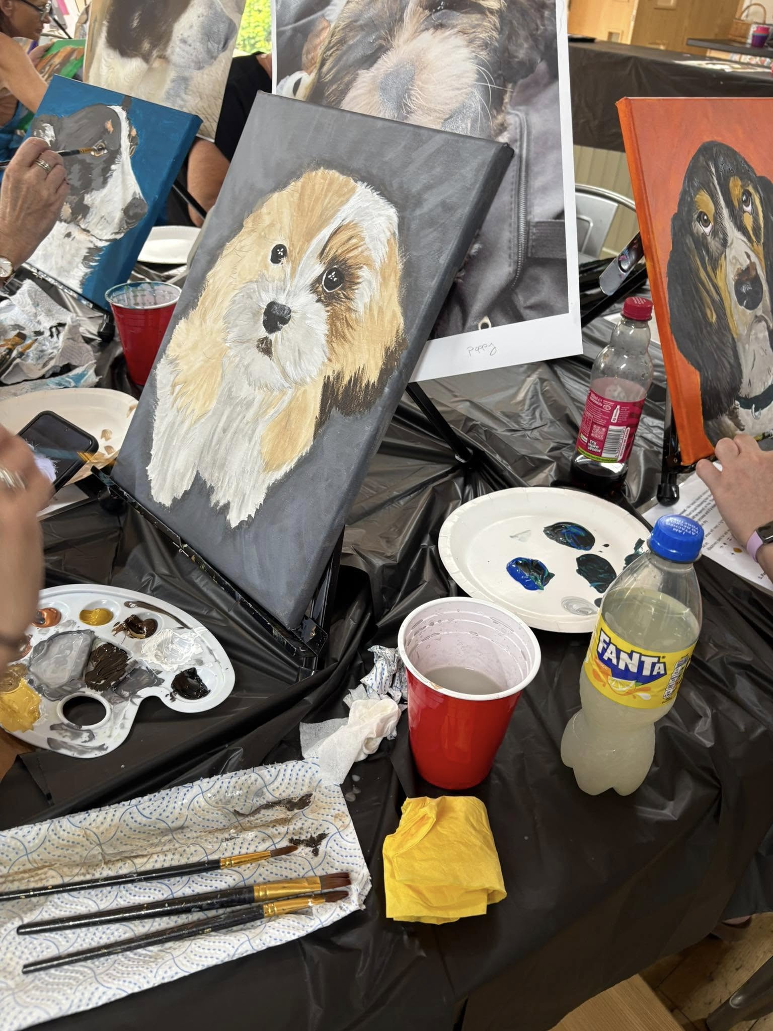 Paint Your Pet, 12th Oct, 11am-3pm, Tractor Shed, Fleetwood